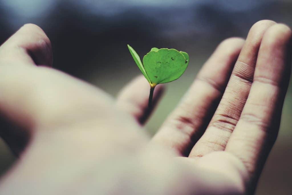 nurture